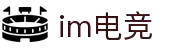 IM(股份有限公司)电竞-电子竞技平台